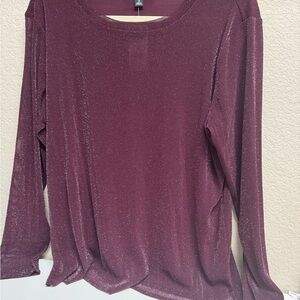 Shimmering Plum Long Sleeve Blouse NWT 1X